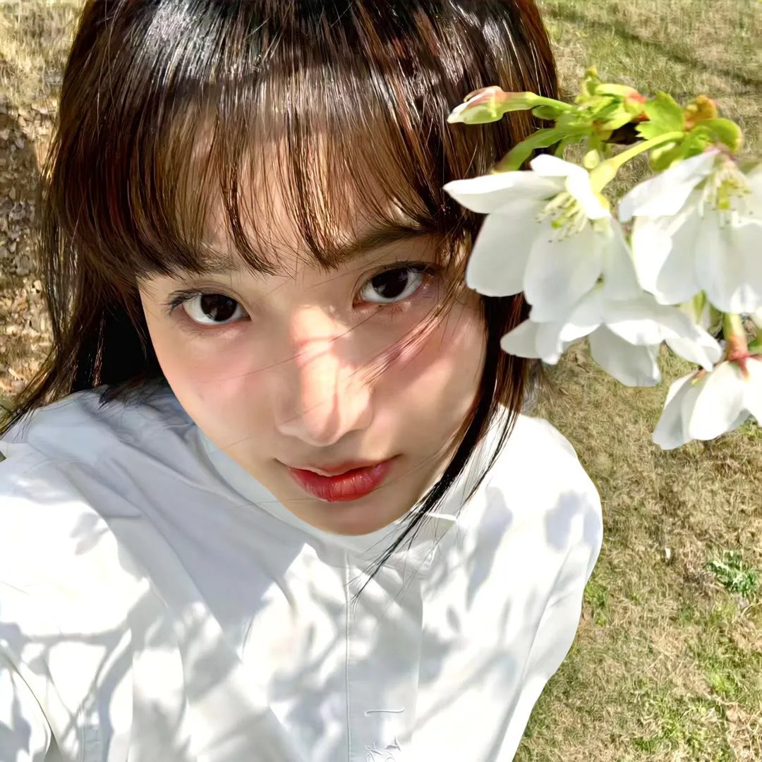 他们她们